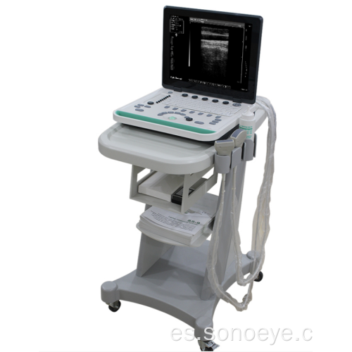 Escáner de ultrasonido blanco de 2D portátil negro